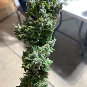 Meet your Posher, Marshana